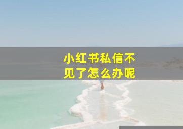 小红书私信不见了怎么办呢