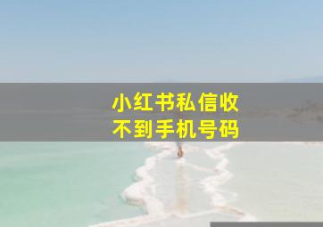 小红书私信收不到手机号码