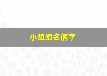 小组组名俩字