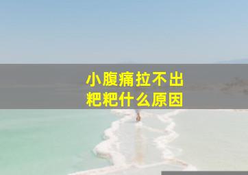 小腹痛拉不出粑粑什么原因