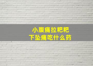 小腹痛拉粑粑下坠痛吃什么药