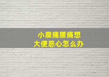 小腹痛腰痛想大便恶心怎么办