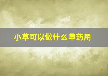 小草可以做什么草药用