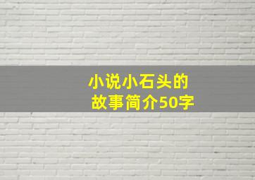 小说小石头的故事简介50字