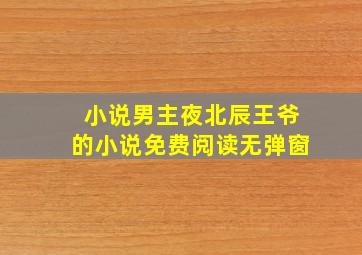 小说男主夜北辰王爷的小说免费阅读无弹窗