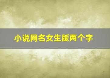 小说网名女生版两个字