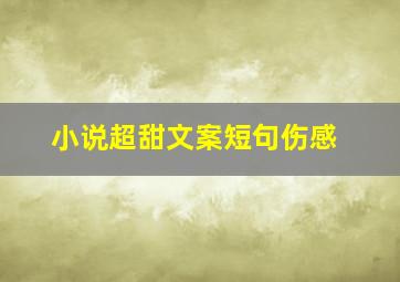 小说超甜文案短句伤感