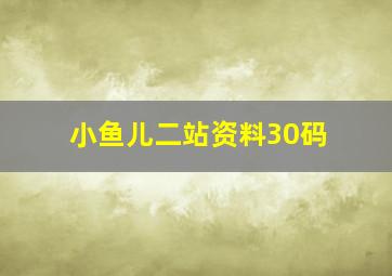 小鱼儿二站资料30码