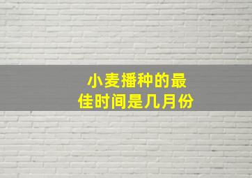 小麦播种的最佳时间是几月份