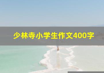 少林寺小学生作文400字