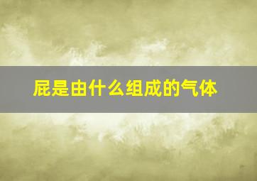 屁是由什么组成的气体