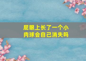 屁眼上长了一个小肉球会自己消失吗