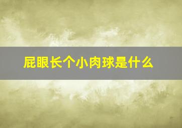 屁眼长个小肉球是什么