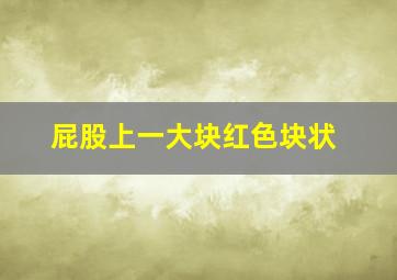 屁股上一大块红色块状