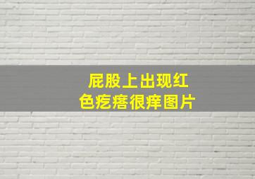 屁股上出现红色疙瘩很痒图片