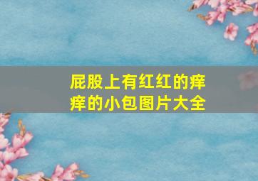 屁股上有红红的痒痒的小包图片大全