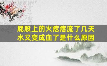 屁股上的火疙瘩流了几天水又变成血了是什么原因