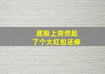 屁股上突然起了个大红包还痒