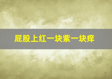 屁股上红一块紫一块痒