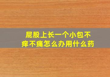 屁股上长一个小包不痒不痛怎么办用什么药