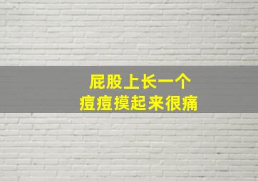 屁股上长一个痘痘摸起来很痛