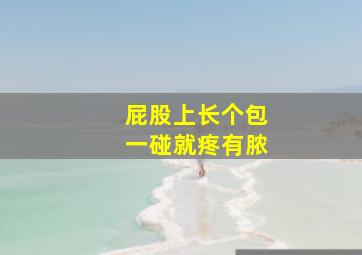 屁股上长个包一碰就疼有脓