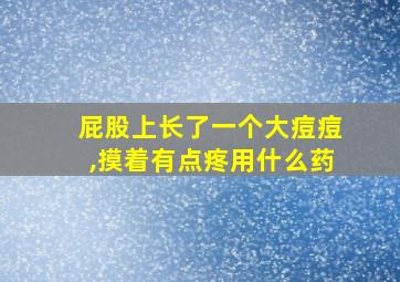 屁股上长了一个大痘痘,摸着有点疼用什么药