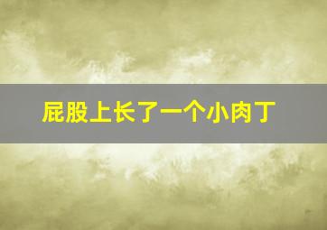 屁股上长了一个小肉丁