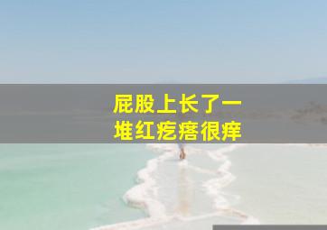 屁股上长了一堆红疙瘩很痒