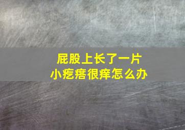 屁股上长了一片小疙瘩很痒怎么办