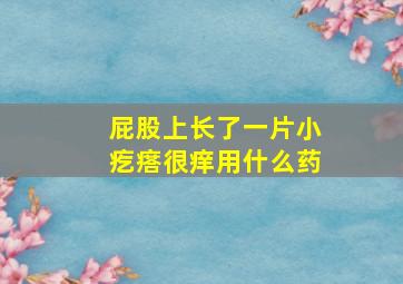 屁股上长了一片小疙瘩很痒用什么药