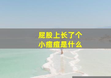 屁股上长了个小痘痘是什么