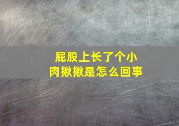 屁股上长了个小肉揪揪是怎么回事