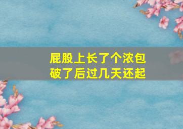 屁股上长了个浓包破了后过几天还起