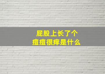 屁股上长了个痘痘很痒是什么