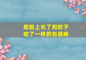 屁股上长了和蚊子咬了一样的包很痒