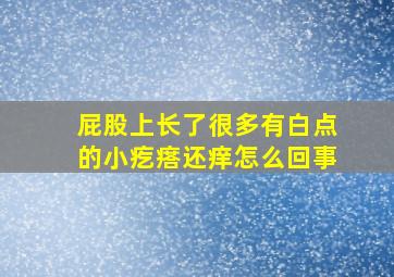 屁股上长了很多有白点的小疙瘩还痒怎么回事