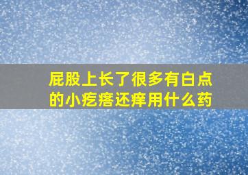 屁股上长了很多有白点的小疙瘩还痒用什么药