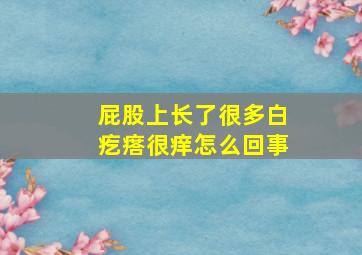 屁股上长了很多白疙瘩很痒怎么回事