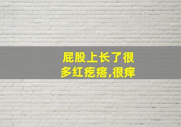 屁股上长了很多红疙瘩,很痒