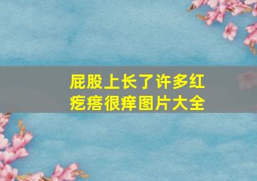 屁股上长了许多红疙瘩很痒图片大全