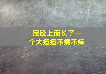 屁股上面长了一个大痘痘不痛不痒