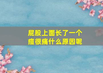 屁股上面长了一个痘很痛什么原因呢