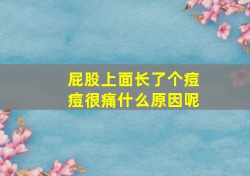 屁股上面长了个痘痘很痛什么原因呢