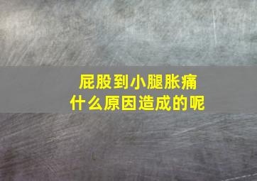 屁股到小腿胀痛什么原因造成的呢