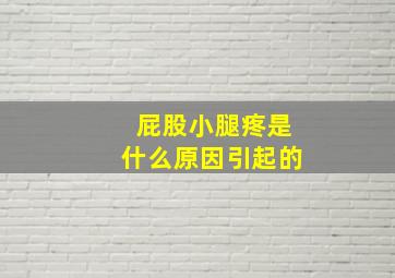 屁股小腿疼是什么原因引起的