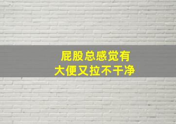 屁股总感觉有大便又拉不干净