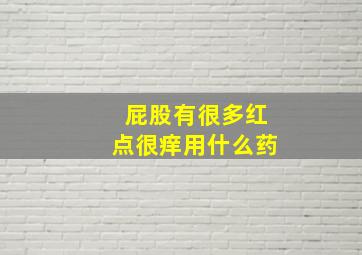 屁股有很多红点很痒用什么药