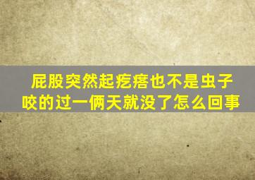 屁股突然起疙瘩也不是虫子咬的过一俩天就没了怎么回事