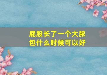 屁股长了一个大脓包什么时候可以好